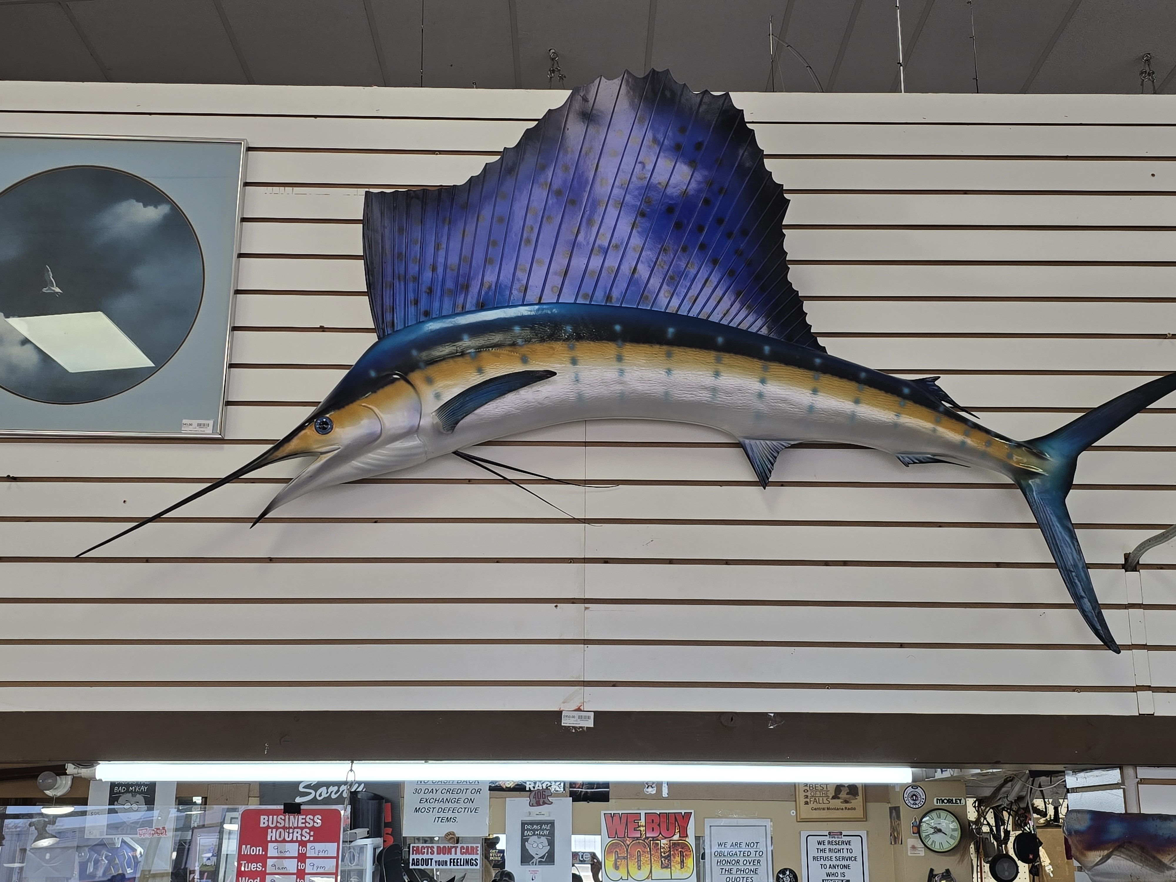 Large Sailfish Wall Mount Replica - Blue/Yellow Game Fish Display